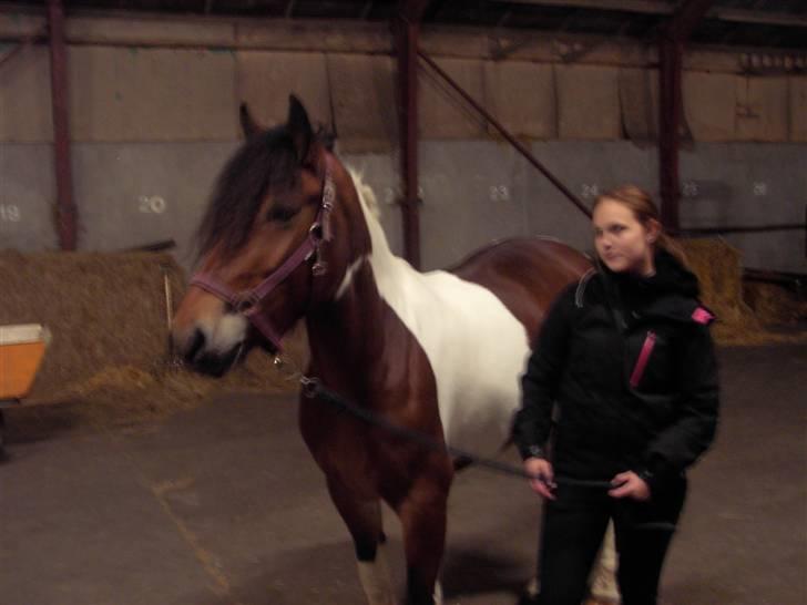 Anden særlig race Nela billede 5