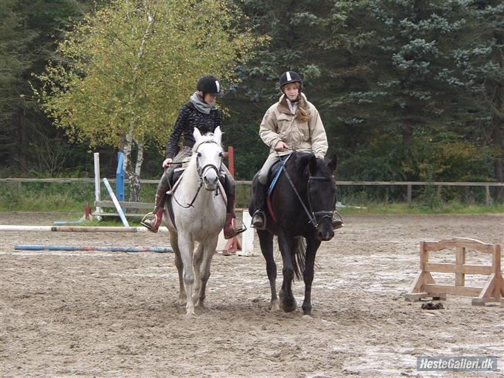 Oldenborg / Dv Malou *passer* R.I.P - 4 - lingerne billede 12