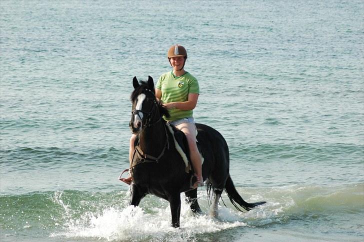 Holstener Prior's Maluta *SOULMATE* R.I.P 15/09/2011 - Fordi vi holder sammen & intet kan stoppe os <3 billede 18