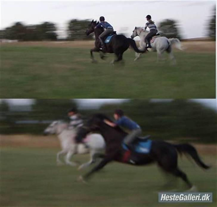 Oldenborg / Dv Malou *passer* R.I.P - en jorde tur over marken billede 15