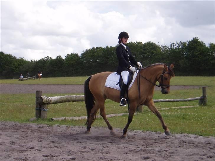 Anden særlig race Sasja R.I.P - til en af de føerste stævner ikke så pænt billede 1