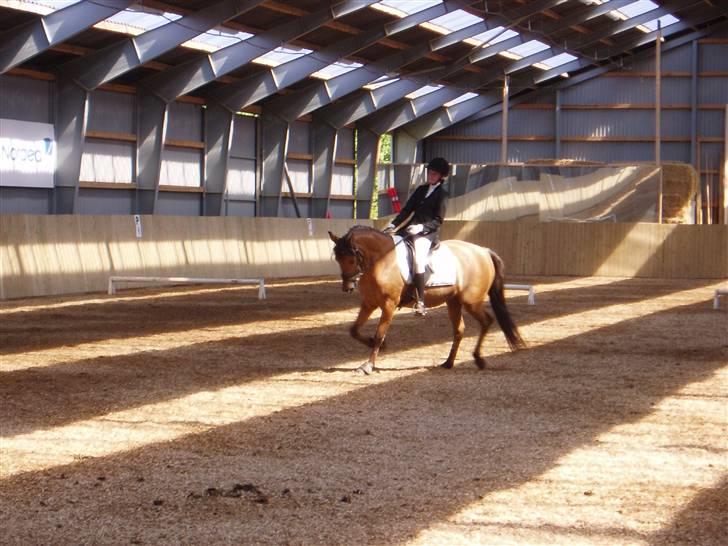 Anden særlig race Sasja R.I.P - samme stævne billede 3