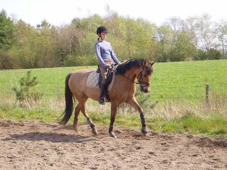 Anden særlig race Sasja R.I.P - en af de første dag efter jeg fik hende så sidder ikke så pænt med mine hænder  billede 5