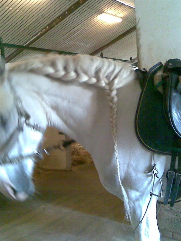 Anden særlig race fantasie - en fletning hun går med til hverdags:) billede 6