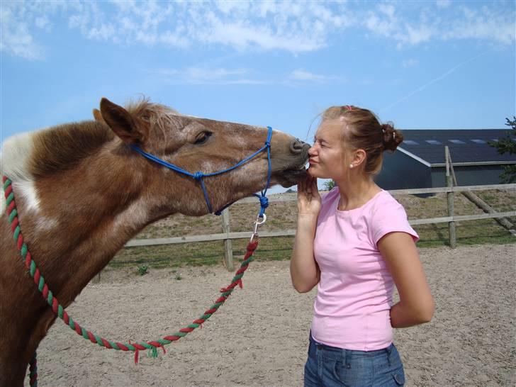 Anden særlig race - Warzakki :')  - 12 | Hvordan kan man IKKE elske ham? Du betyder alt :´) (Kysser på kommando) Taget af Trine d. 01.08.08 billede 12