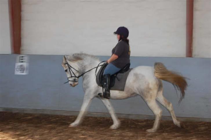 Anden særlig race Selena (: billede 9