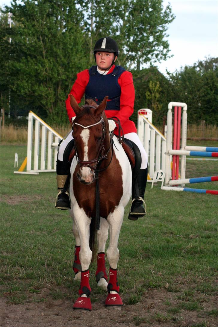 Anden særlig race Silver - Velkommen til vores profil.. smid gerne en bedømmelse og en kommentar ;b Foto: Mie Poulsen. Klubmesterskab spring 1m 2009 (; <3 billede 1