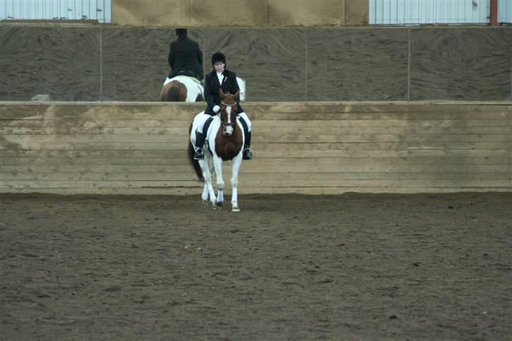 Anden særlig race Silver - Sarah til sit første dressurstævne hvor det blev nummer 3, men der desværre kun var placering til nummer 1 og 2 ;/ <3 billede 2