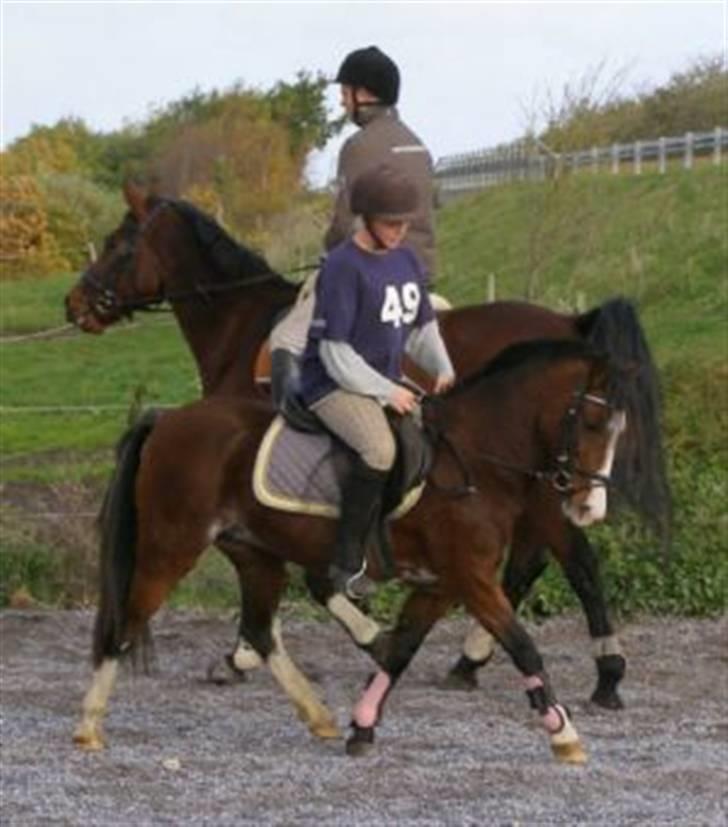 Anden særlig race Freja *SOLGT* - Mulle rider Freja på Stalddane . efteråret 2008 billede 11