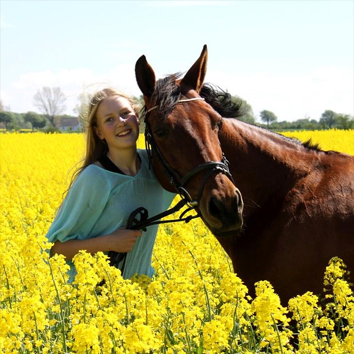 Anden særlig race Flicka  - Billede 7: Fliksen og jeg i rapsmarken :D  billede 7