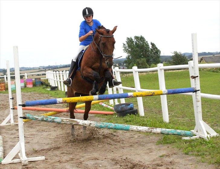 Anden særlig race Flicka  - Billede 8: Springtræning d. 20/8 -10  billede 8