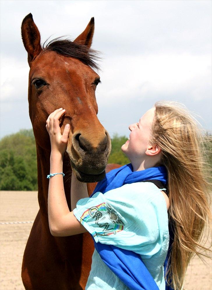 Anden særlig race Flicka  - Billede 11: Sommer <3 billede 11