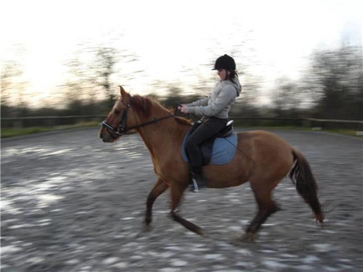 Anden særlig race Gamle[R.I.P 22.11.10]:'(  - 3¤ undskyd skaat, at jeg ikke over holdt det jeg lovede diig!!! billede 3