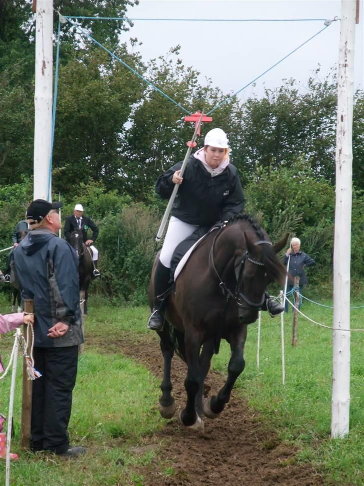 Anden særlig race Julle - Dorthe og Julle til Brunsnæs ringridning 2008 billede 8