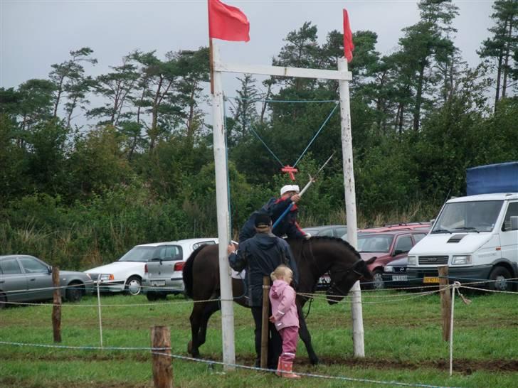 Anden særlig race Julle - Julle og Anne til brunsnæs ringridning 2008 billede 9