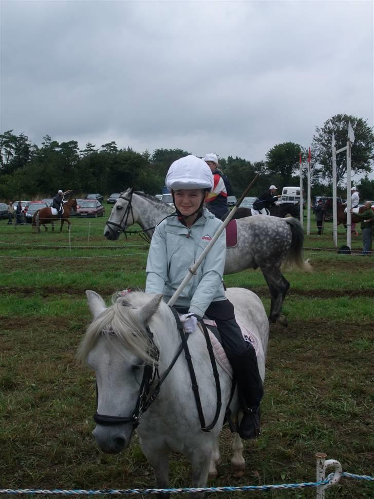 Welsh Mountain (sec A) Ræveskiftets Sugarcandy - Candy og Inge Marie til brunsnæs ringridning 2008 billede 4