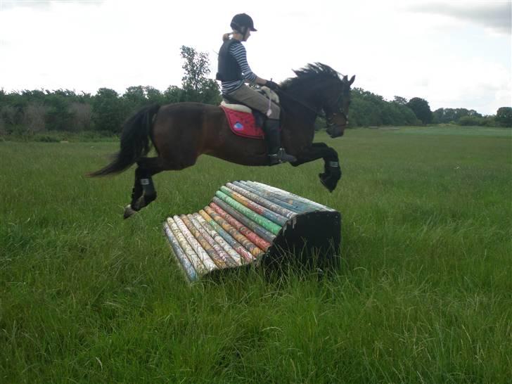 DSP *Star R.I.P * - Ridelejre søborggård - 08 tak mia foto: mia (= i ska ikk kigge på mig billede 10