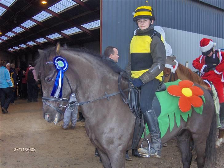 New Forest Ækpara -  2. plads (Kostume/jokerspring) Foto:  mor billede 4