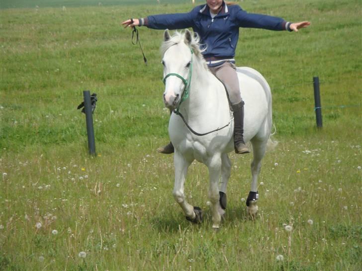 Anden særlig race Sonny May [SOLGT] - du er min støtte, jeg er dine vinger! sammen flyver vi højere end solen<3 billede 15