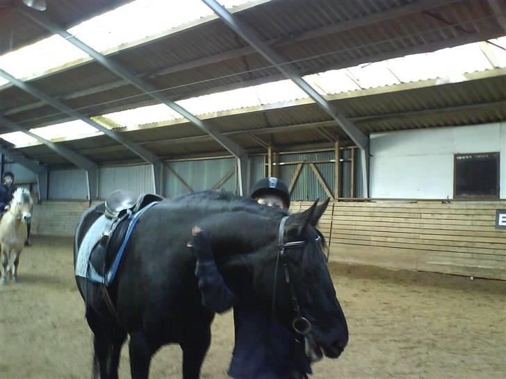 Anden særlig race misty gammel rytter R.I.P billede 5