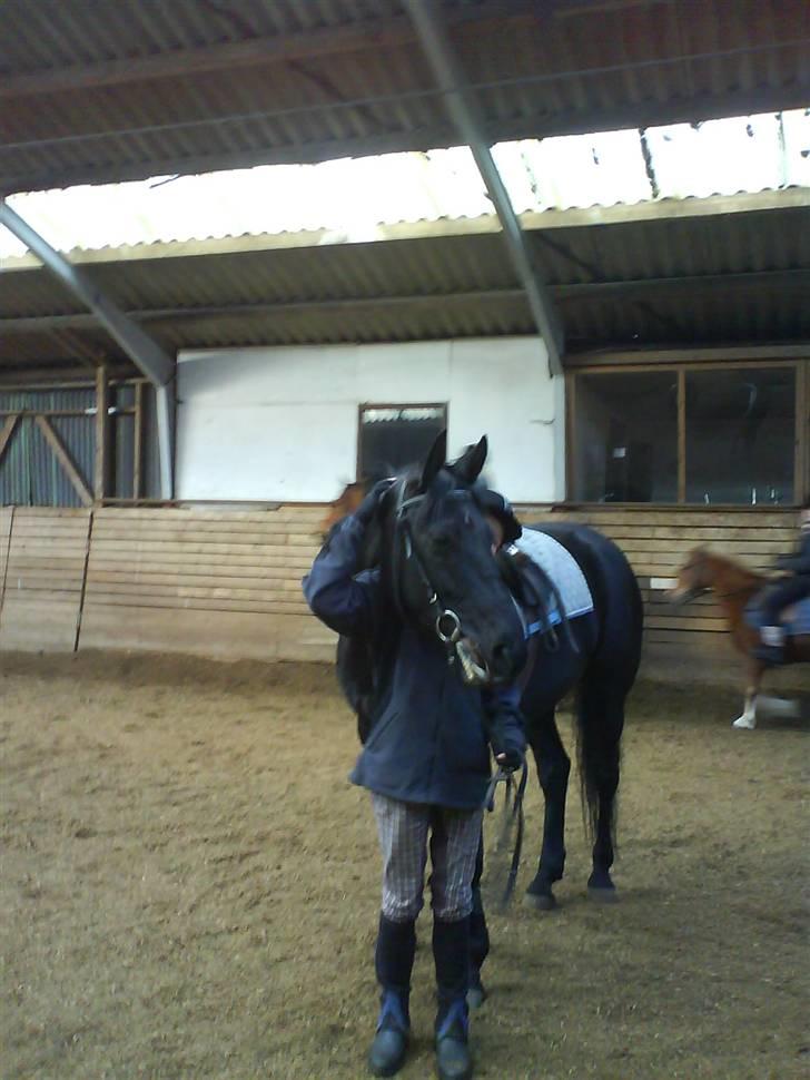 Anden særlig race misty gammel rytter R.I.P billede 6