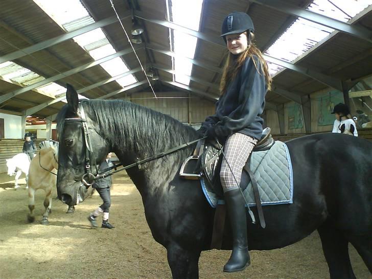 Anden særlig race misty gammel rytter R.I.P billede 7