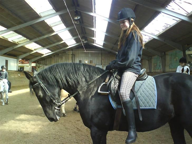 Anden særlig race misty gammel rytter R.I.P billede 8