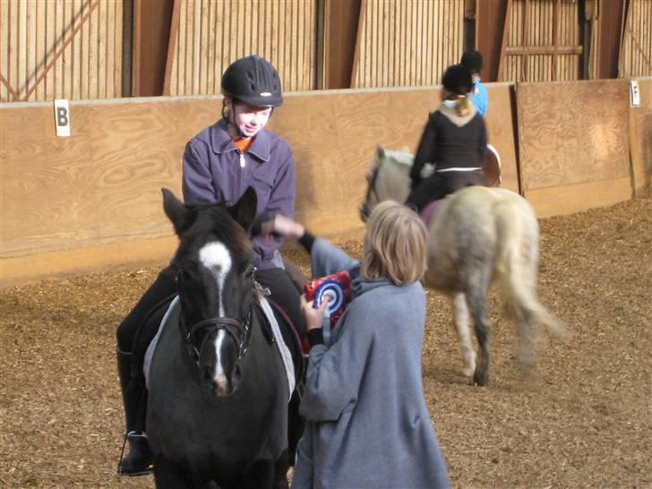 New Forest Black Pepper *elev pony* - Får 2. pladsen (Lille so på Gimse bag mig!) Foto: Far! billede 20