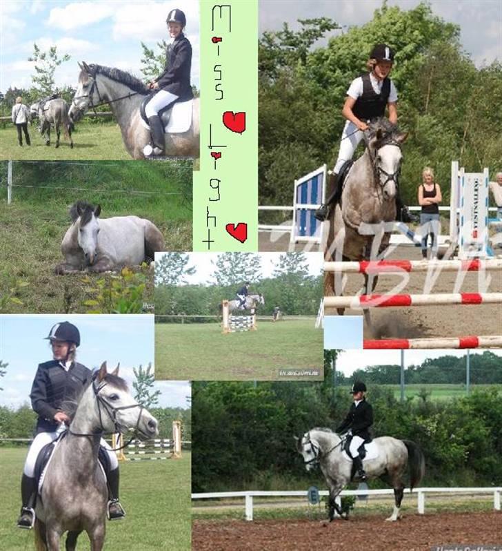 Sportsaraber (A) Miss Light billede 15