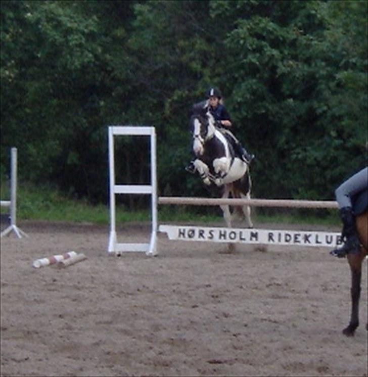 Pinto Gipsy <3 (gamle part <3) - Hg´ gør kvaliteten dårlig ! Læg mærke til hvor højt hun ligger over !! :D<3 billede 14