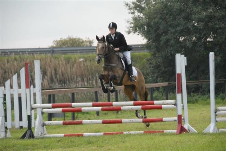 Akhal-Tekiner GALAMBIIA - Mig og Galambiia til vores første militarystævne i Hammel 2008 billede 14