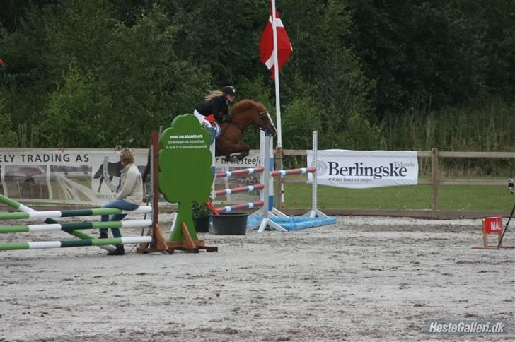 Anden særlig race Ratina - mb på cac =) billede 10