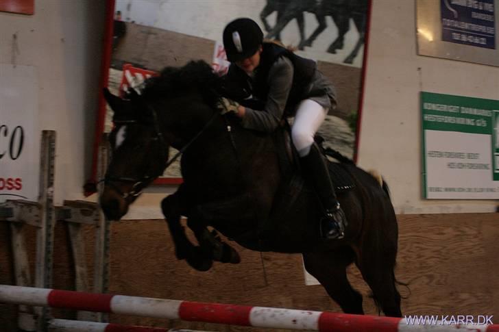 DSP Daisy Hesse<3 Solgt :/ :( - TIl sponserspring jeg sprang 115. bare ikke på det her billed... billede 17