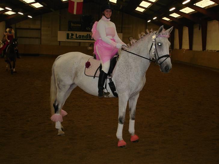 Dansk Varmblod Aglaia (R.I.P  2011) - Sponsor stævne med kostume. Vi var en fe, he, he.  billede 18