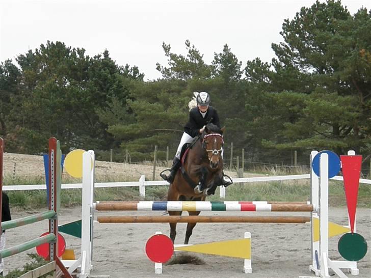 Irsk Sportspony Clover Island - 15) Distriktsmesterskab for hold på Gribskov (LA):)<333 FOTO: Min far billede 15