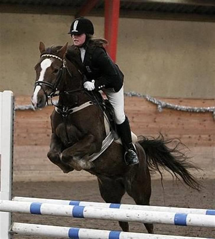 Anden særlig race Beauty Butterfly (LÅNTE) - LA :b Vi blev nr. 1 :D billede 11