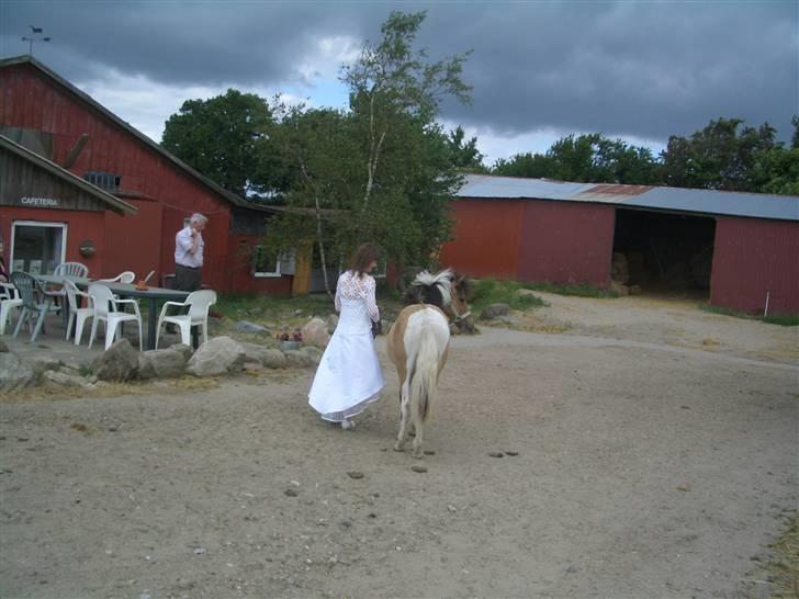 Anden særlig race Charming - smil til fotografen :D hehe billede 8