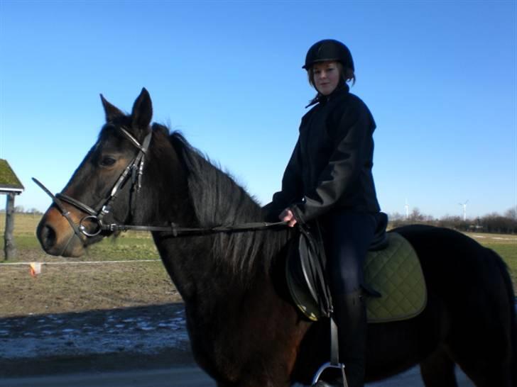 Traver Vanderbilt *helpart* - *NYT* model xD billede 8