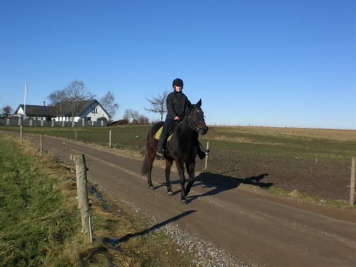 Traver Vanderbilt *helpart* - *NYT* nu kommer vi (; billede 10