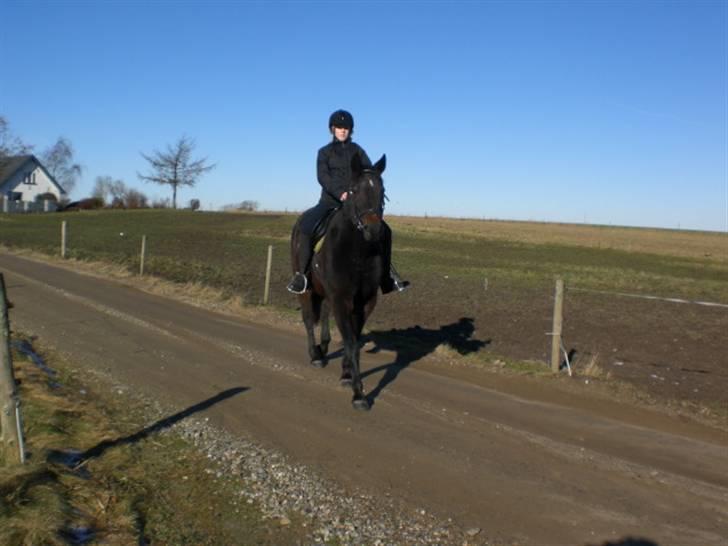 Traver Vanderbilt *helpart* - .haha, vi er seje! <3 billede 13