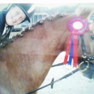 Anden særlig race BamBam *Solgt* ;(