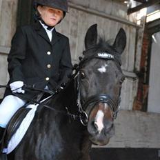 New Forest Nyskovens Valentin