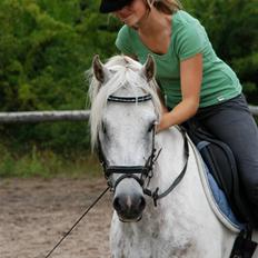 Tysk Sportspony Baloo **SOLGT**