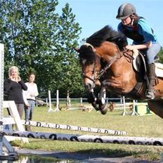 Anden særlig race Robin - * solgt * ! <3 d: