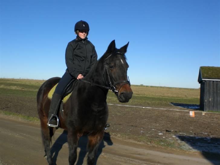 Traver Vanderbilt *helpart* - hva er det? d: billede 14