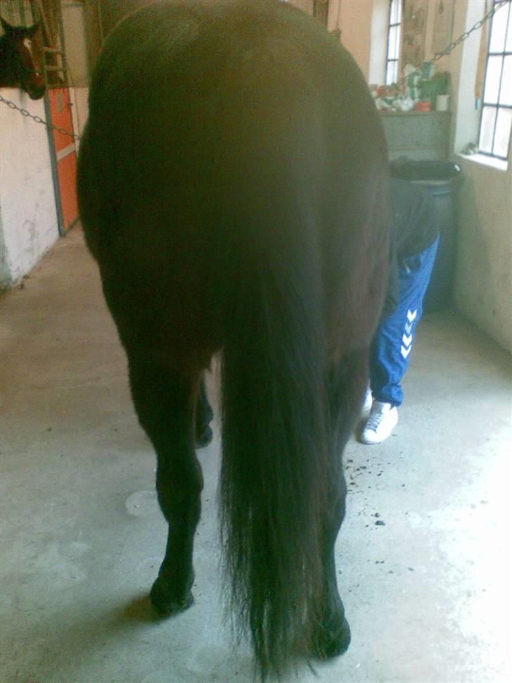 Traver Vanderbilt *helpart* - .når røven er god, er halen flot i: ! billede 15