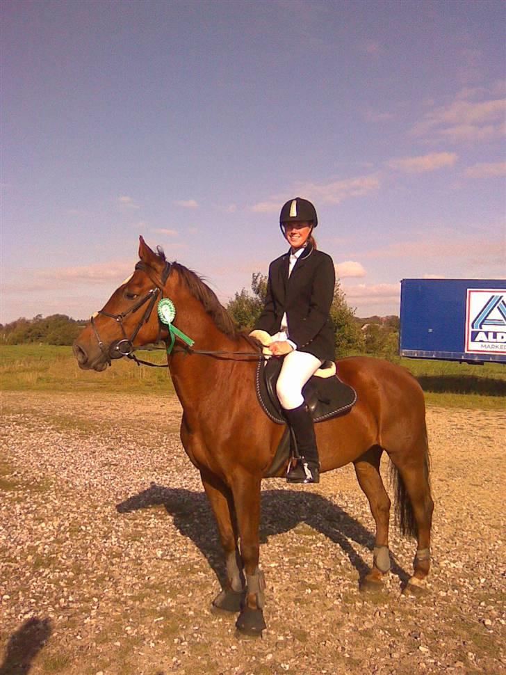 Dansk Varmblod Little Dream - Se hvor flot min pige er <3 - En tredje plads i Ranum i LC´en (; billede 7