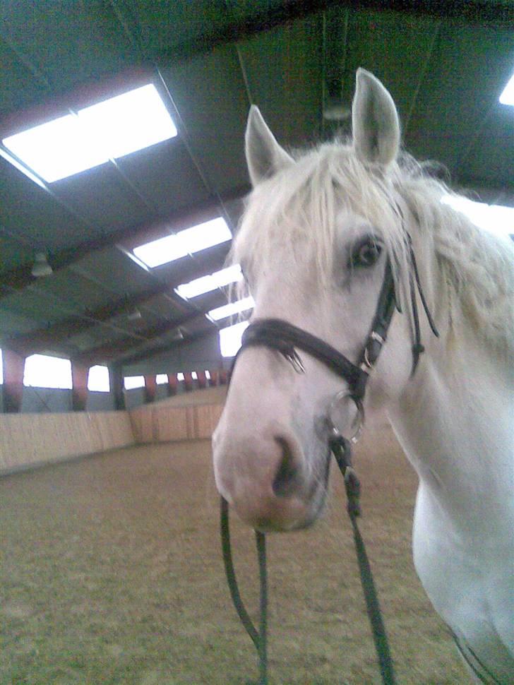 Anden særlig race fantasie - da vi skritede af tog min vneinde lidt billeder billede 7