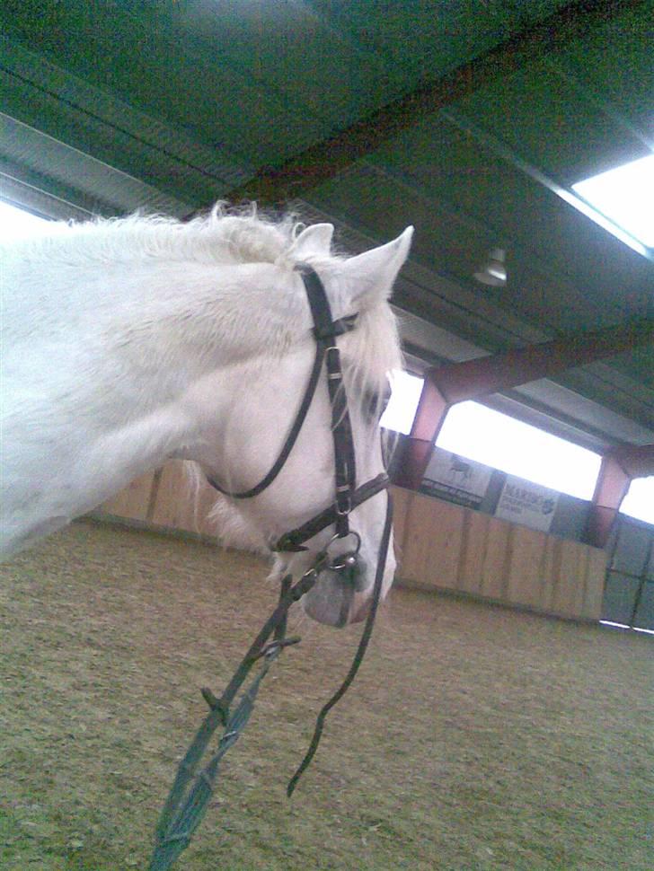 Anden særlig race fantasie - hun havede lige fået øje på nogen og hun var slet ikke til at komme i kontakt med billede 8