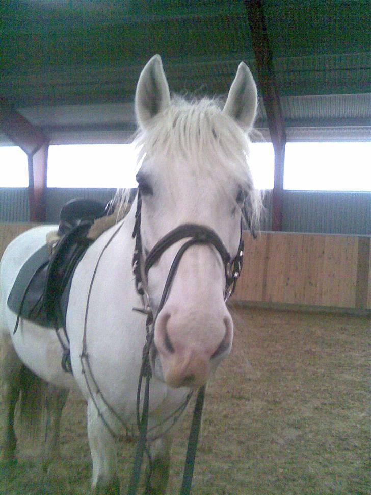 Anden særlig race fantasie - du er så dejlig billede 9